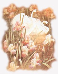 Bird-04