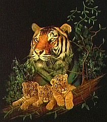 Jungle-02