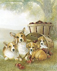 Puppies-07