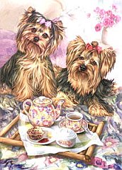 Tea-for-Two