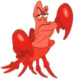 SEBASTIAN1