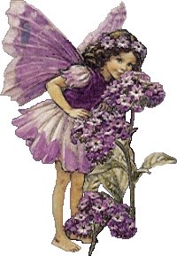 5fairy