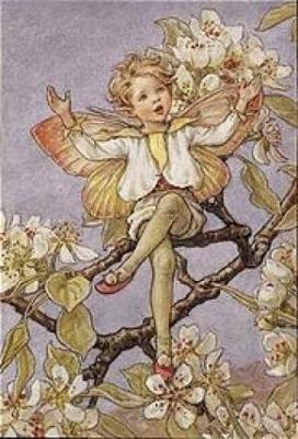 Cicely-Mary-Barker-The-Pear-Blossom-Fairy-107071