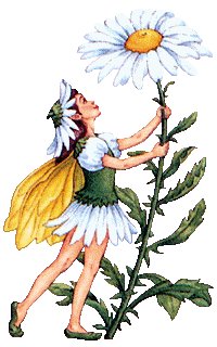 clipfiori21