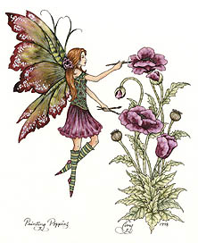 fairy-painting-poppies
