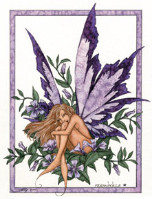 fairy-periwinkle