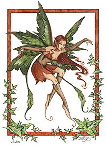 fairy-vine