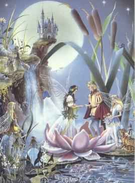 fairy5