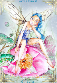fairy_silvia02