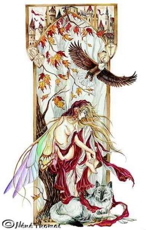 feep28d