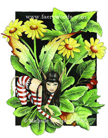 wildpixie