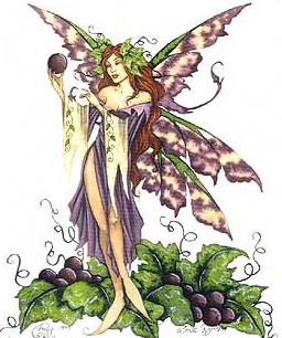 winenymph