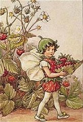 Cicely-Mary-Barker-The-Strawberry-Fairy-107068