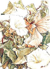 barkerfairy02