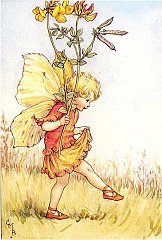 barkerfairy05