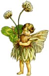 clipfiori23