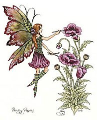fairy-painting-poppies