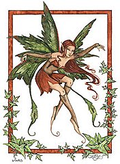 fairy-vine