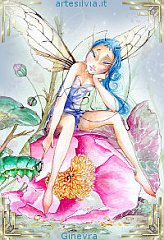 fairy_silvia02