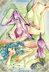 fairy_silvia04