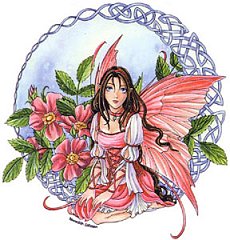 fy-wildrose