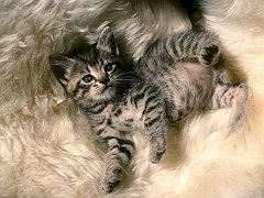 Naptime