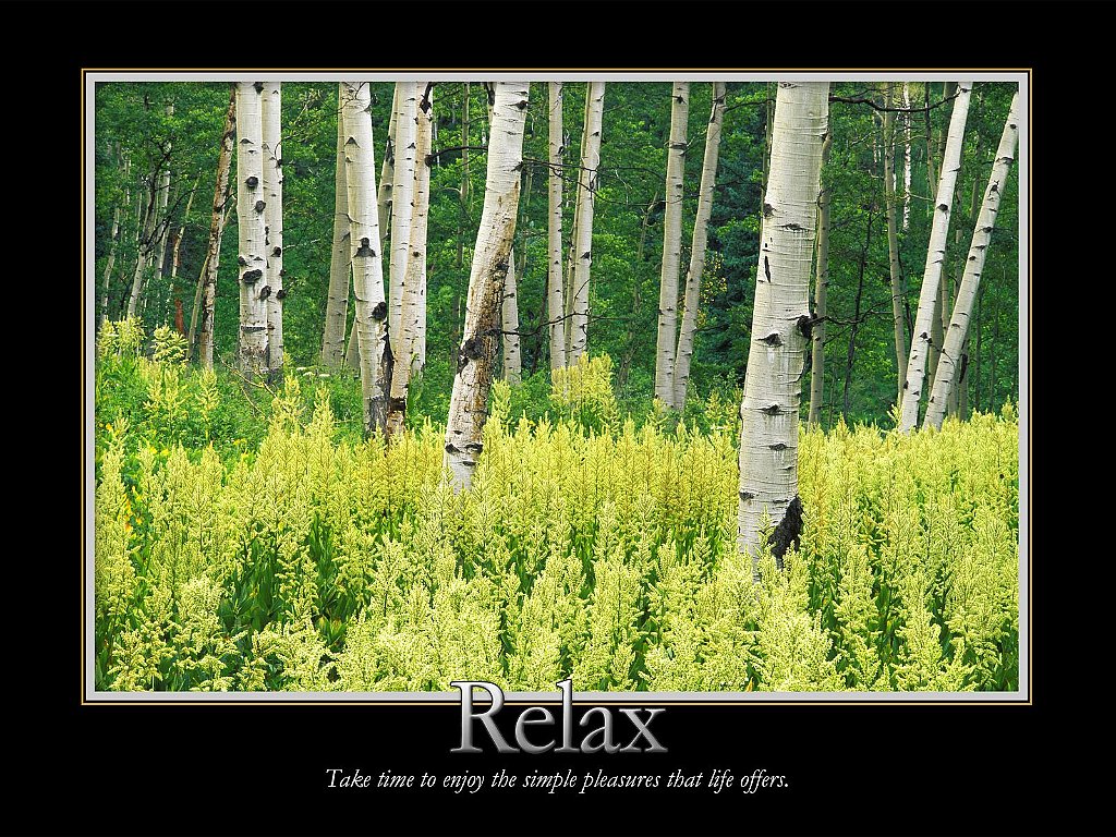 Relax