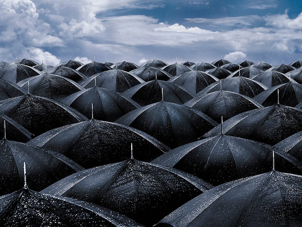 Shelter