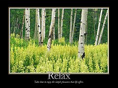 Relax