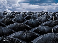 Shelter