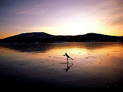 Solitude