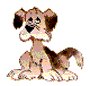 animali005