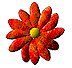 fiori060
