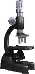 lab005