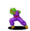 piccolo03