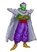 piccolo11