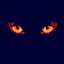 031008_chat_yeux