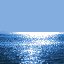 031021_dolphin