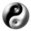 040107_yin_yang
