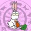 040116_lapin