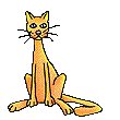 Gatto3