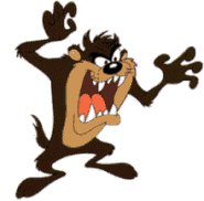 Tazmania