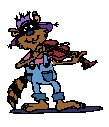 alcoonfiddle