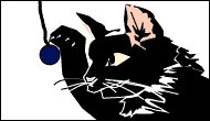 animali026