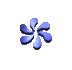 fiori122a