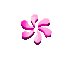 fiori123