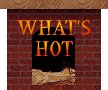 hot011