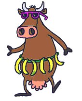 mucca