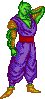piccolo20