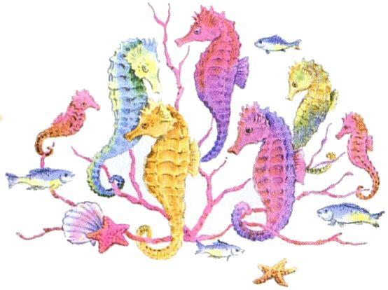 sea-horses-10705